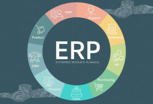 ERP Importance